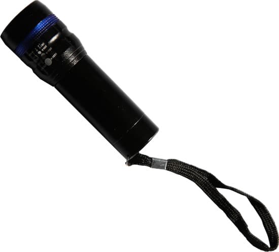 Webber Torch
