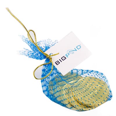 x6 Chocolate Coins in Mesh Bag