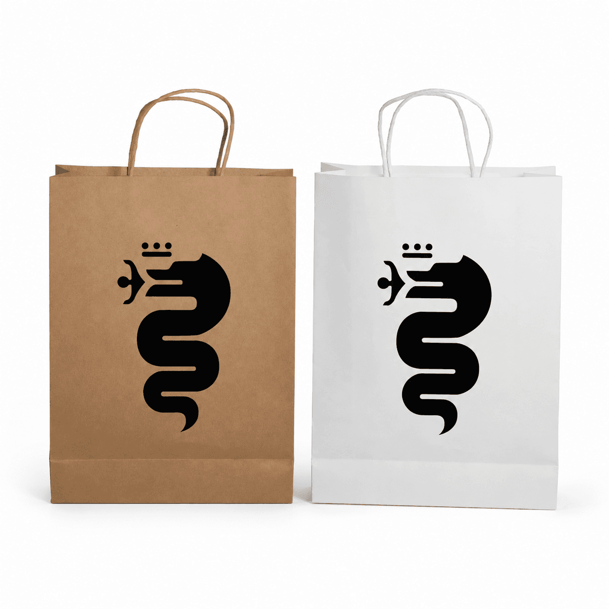 Paper Show Bag