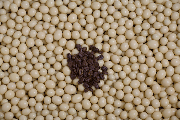 Choc Coated Coffee Beans White